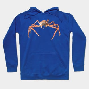 Photo of a Japanese Spider Crab Hoodie